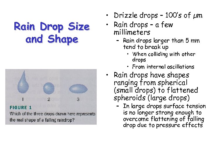 Rain Drop Size and Shape • Drizzle drops – 100’s of µm • Rain