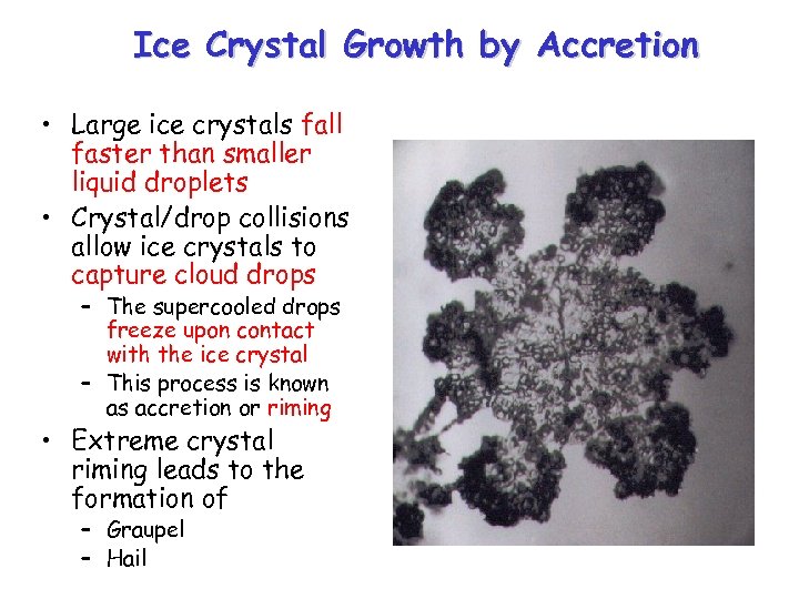 Ice Crystal Growth by Accretion • Large ice crystals fall faster than smaller liquid