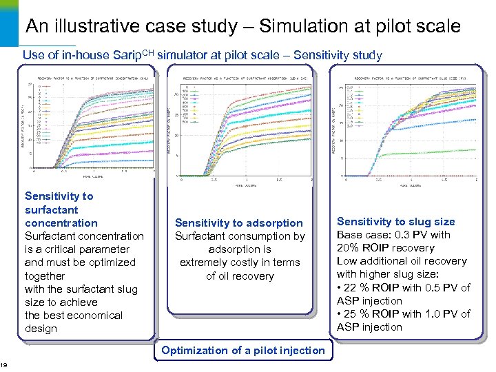 19 An illustrative case study – Simulation at pilot scale Use of in-house Sarip.