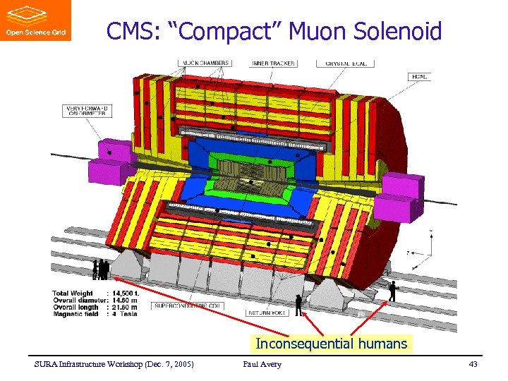 CMS: “Compact” Muon Solenoid Inconsequential humans SURA Infrastructure Workshop (Dec. 7, 2005) Paul Avery