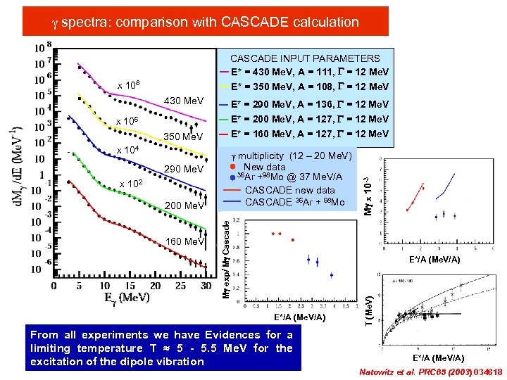 g spectra: comparison with CASCADE calculation CASCADE INPUT PARAMETERS E* = 430 Me. V,