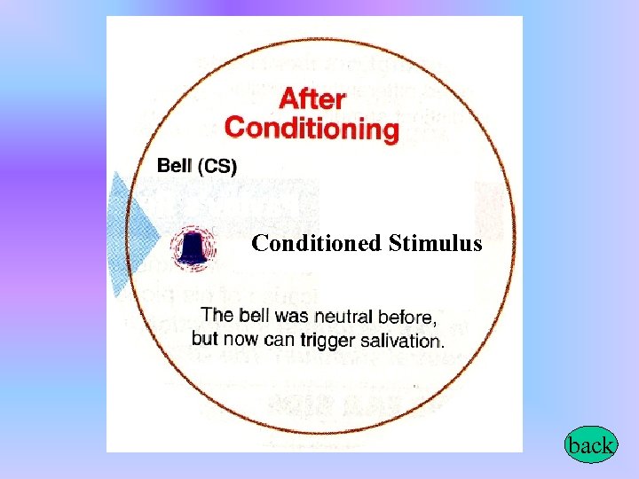 Conditioned Stimulus back 