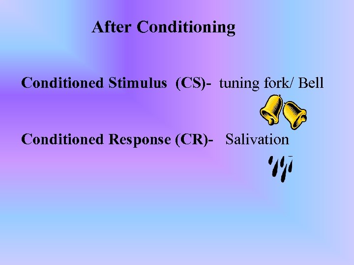 After Conditioning Conditioned Stimulus (CS)- tuning fork/ Bell Conditioned Response (CR)- Salivation 