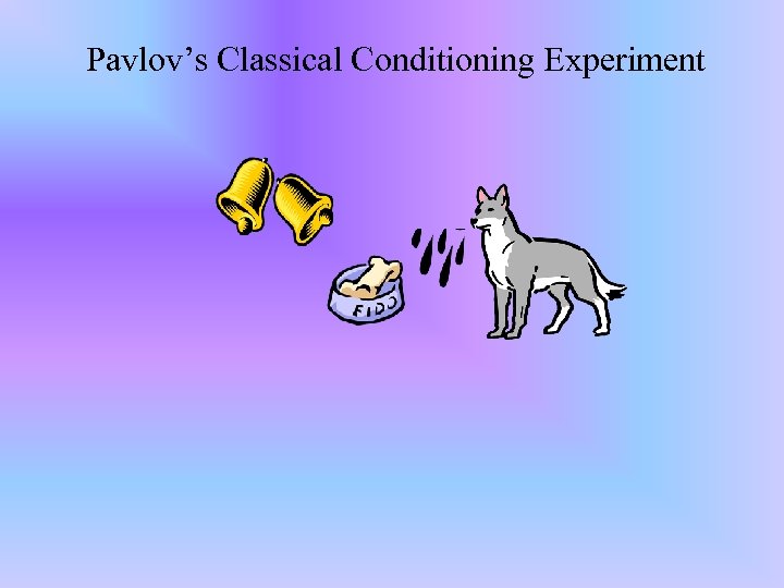 Pavlov’s Classical Conditioning Experiment 