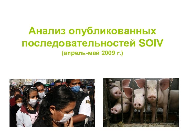 Анализ опубликованных последовательностей SOIV (апрель-май 2009 г. ) 