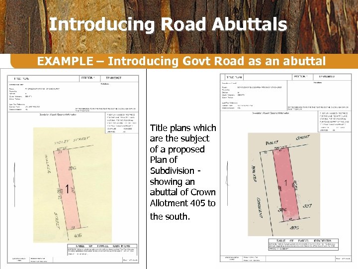 Introducing Road Abuttals EXAMPLE – Introducing Govt Road as an abuttal Title plans which