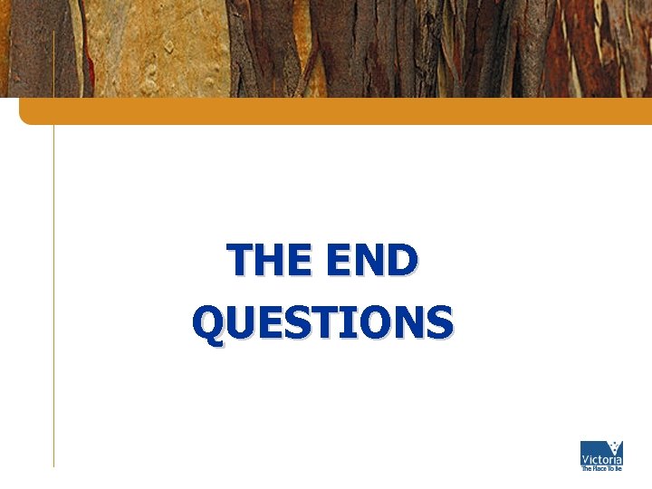 THE END QUESTIONS 