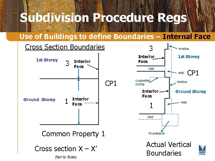 Subdivision Procedure Regs Use of Buildings to define Boundaries – Internal Face Cross Section