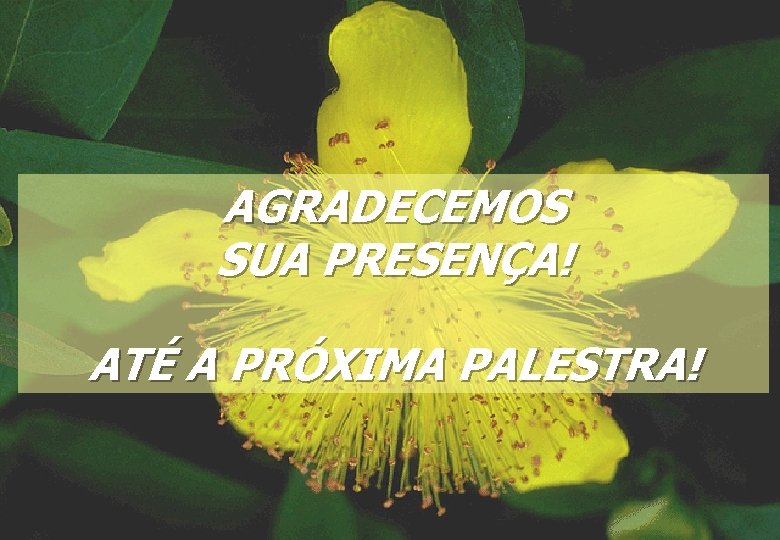 AGRADECEMOS SUA PRESENÇA! ATÉ A PRÓXIMA PALESTRA! 