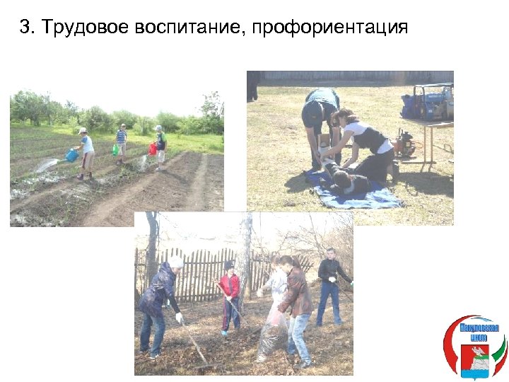 3. Трудовое воспитание, профориентация 
