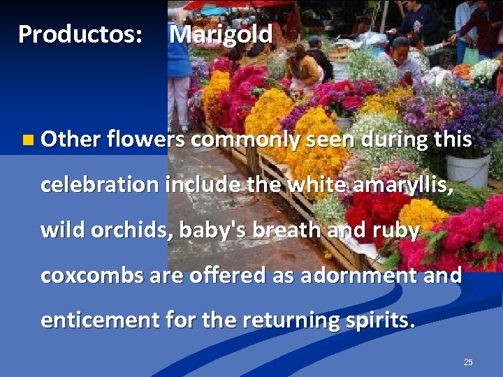 Productos: Marigold n Other flowers commonly seen during this celebration include the white amaryllis,