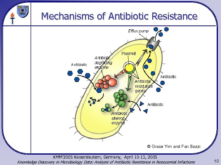 Mechanisms of Antibiotic Resistance © Grace Yim and Fan Sozzi KMM’ 2005 Kaiserslautern, Germany,