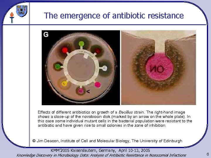 The emergence of antibiotic resistance Effects of different antibiotics on growth of a Bacillus