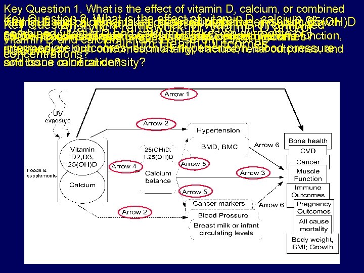 Key Question 1. What is the effect of vitamin D, calcium, or combined Key