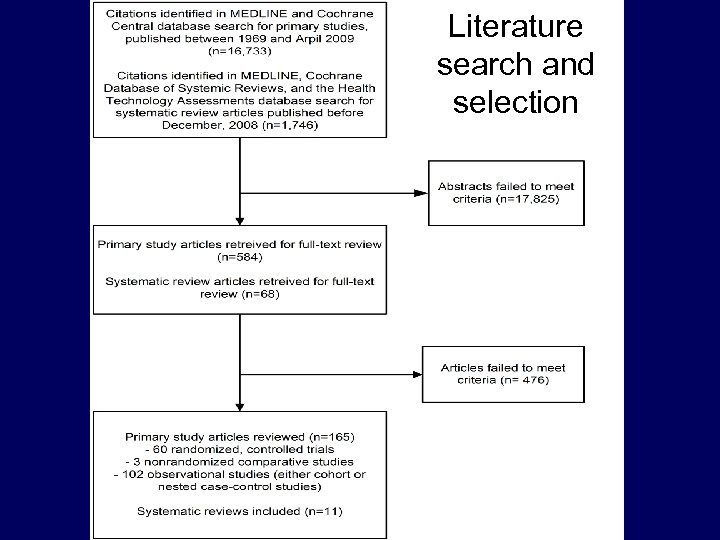 Literature search and selection 
