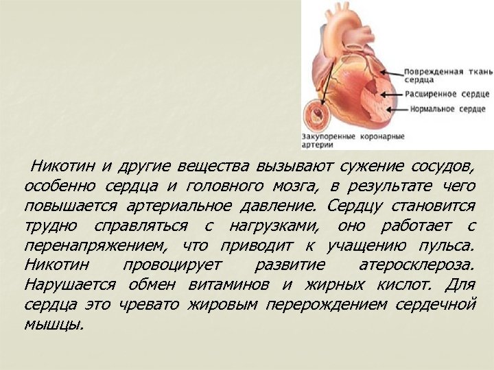  Никотин и другие вещества вызывают сужение сосудов, особенно сердца и головного мозга, в