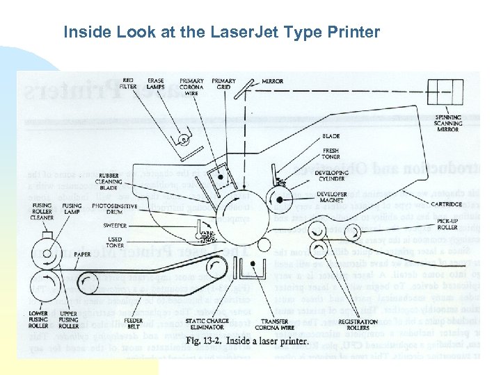 Inside Look at the Laser. Jet Type Printer 