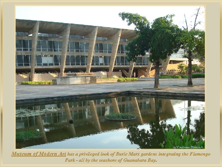 lza De Museum of Modern Art has a privileged look of Burle Marx gardens