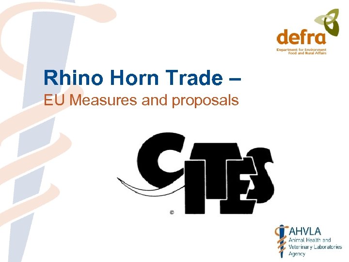Rhino Horn Trade – EU Measures and proposals 