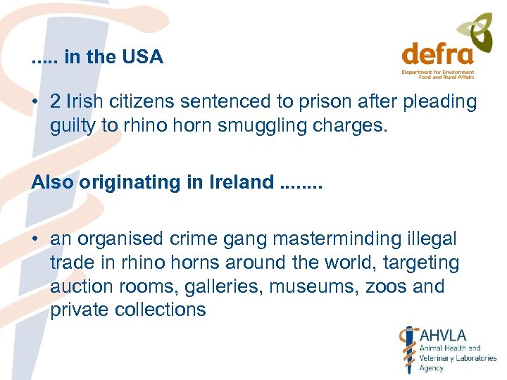. . . in the USA • 2 Irish citizens sentenced to prison after