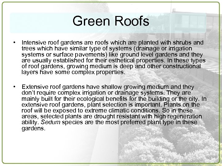 Green Roofs • Intensive roof gardens are roofs which are planted with shrubs and