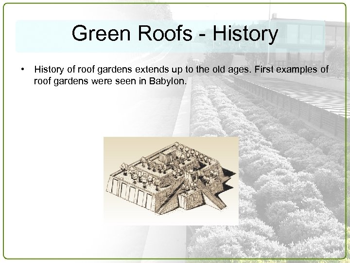 Green Roofs - History • History of roof gardens extends up to the old