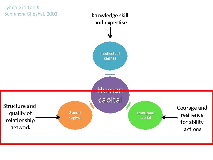 Lynda Gratton & Sumantra Ghoshal, 2003 Knowledge skill and expertise Intellectual capital Structure and