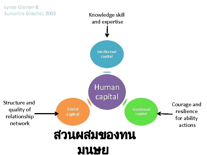 Lynda Gratton & Sumantra Ghoshal, 2003 Knowledge skill and expertise Intellectual capital Structure and