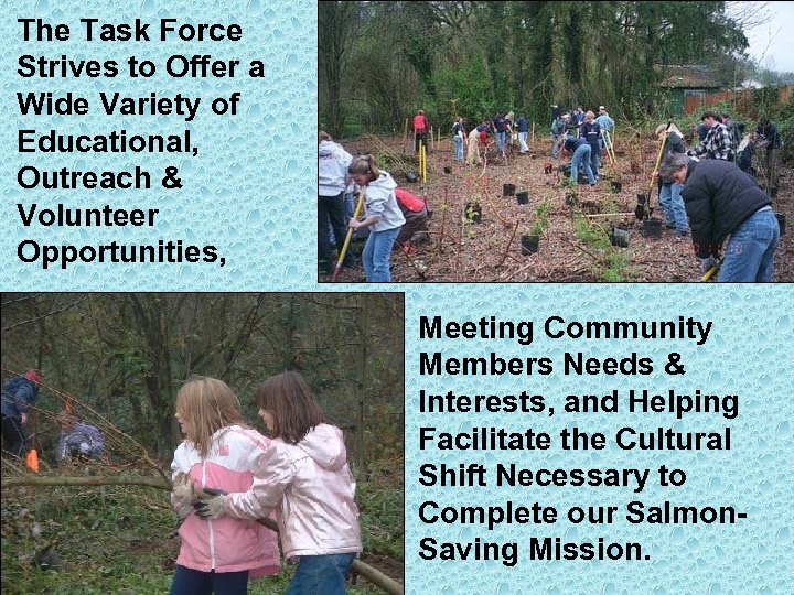 The Task Force Strives to Offer a Wide Variety of Educational, Outreach & Volunteer