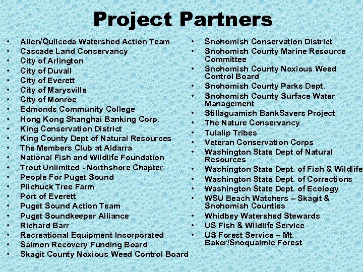 Project Partners • • • • • • Allen/Quilceda Watershed Action Team Cascade Land