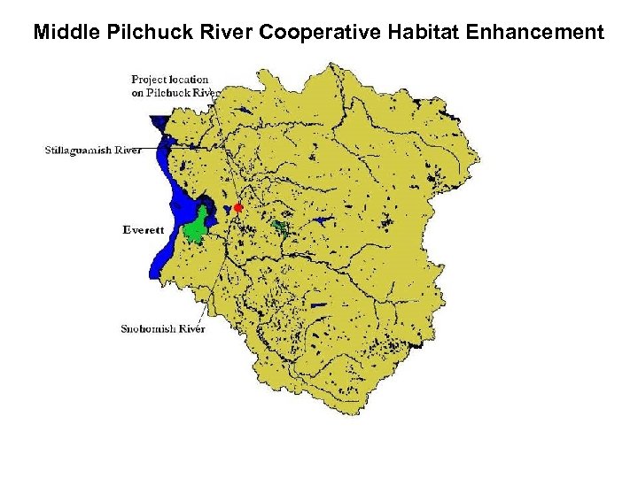 Middle Pilchuck River Cooperative Habitat Enhancement 