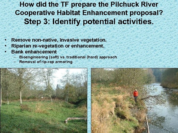 How did the TF prepare the Pilchuck River Cooperative Habitat Enhancement proposal? Step 3: