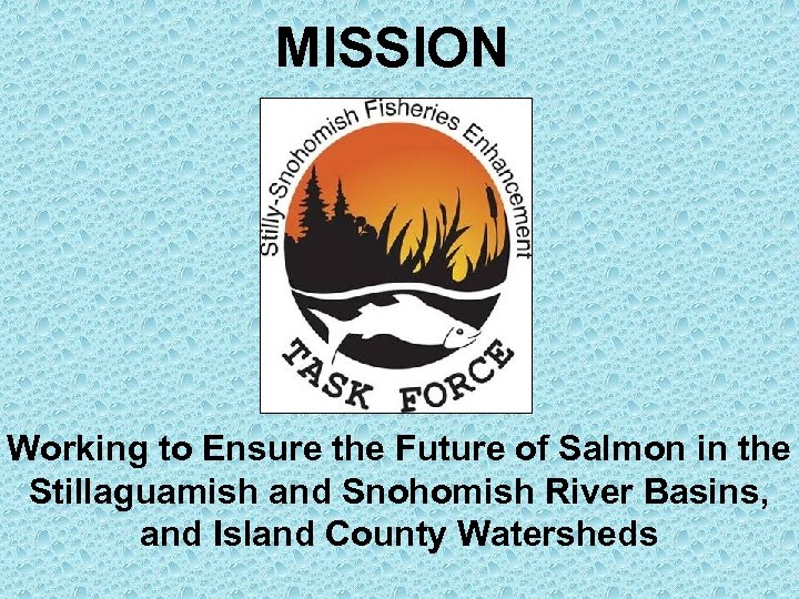 MISSION Working to Ensure the Future of Salmon in the Stillaguamish and Snohomish River