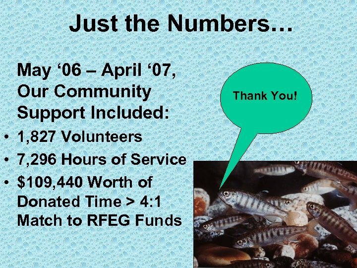 Just the Numbers… May ‘ 06 – April ‘ 07, Our Community Support Included:
