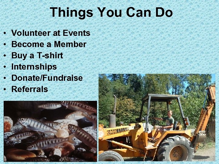 Things You Can Do • • • Volunteer at Events Become a Member Buy