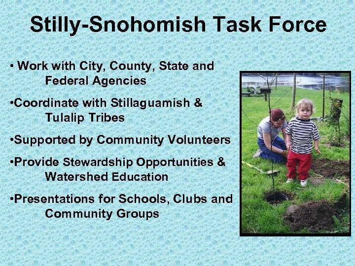 Stilly-Snohomish Task Force • Work with City, County, State and Federal Agencies • Coordinate