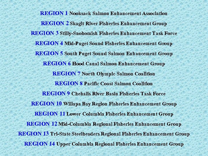 REGION 1 Nooksack Salmon Enhancement Association REGION 2 Skagit River Fisheries Enhancement Group REGION