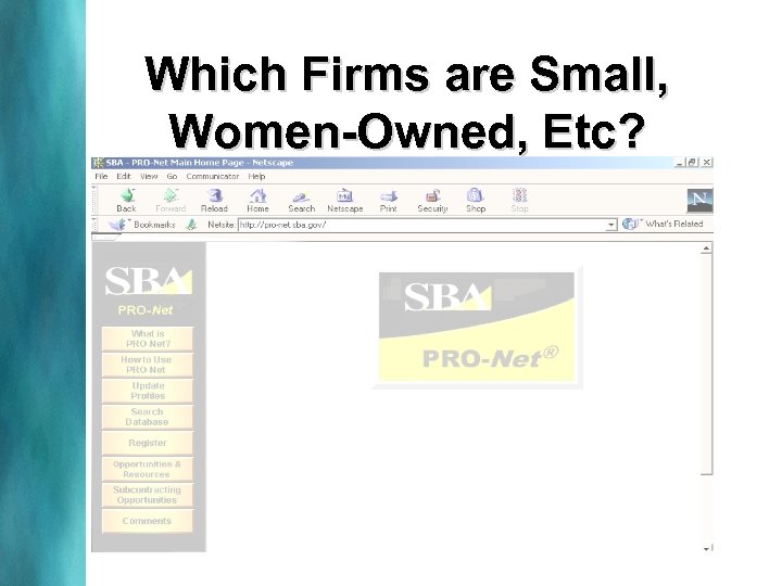 Which Firms are Small, Women-Owned, Etc? 