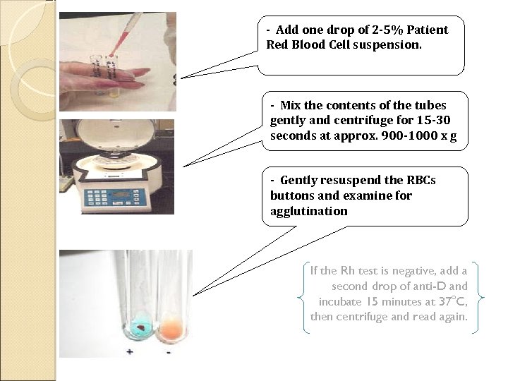 - Add one drop of 2 -5% Patient Red Blood Cell suspension. - Mix