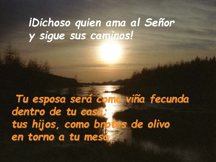 ¡Dichoso quien ama al Señor y sigue sus caminos! Tu esposa será como viña