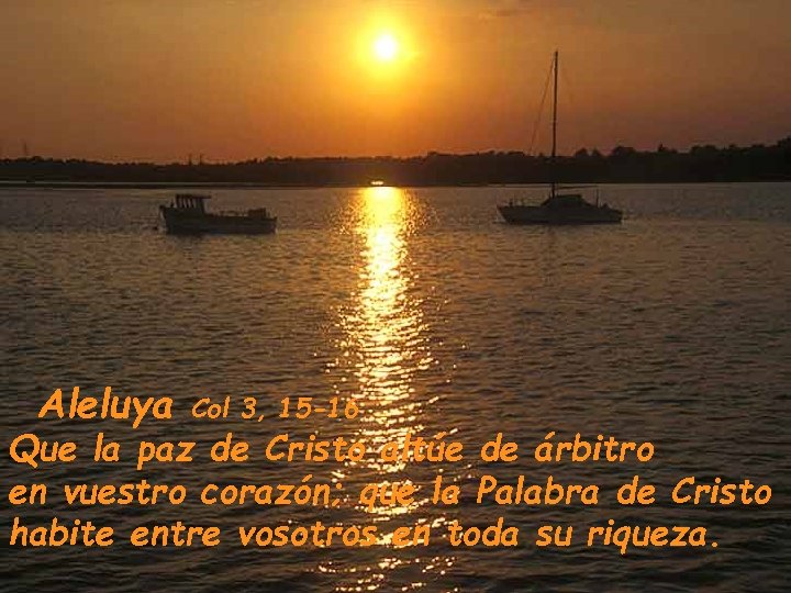 Aleluya Col 3, 15 -16 Que la paz de Cristo altúe de árbitro en