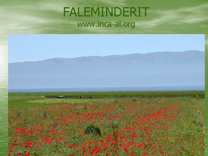 FALEMINDERIT www. inca-al. org 