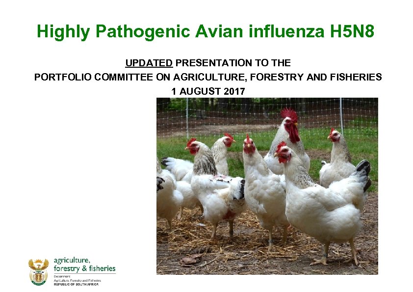 Highly Pathogenic Avian influenza H 5 N 8 UPDATED PRESENTATION TO THE PORTFOLIO COMMITTEE