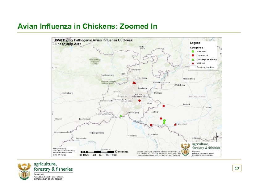 Avian Influenza in Chickens: Zoomed In 10 