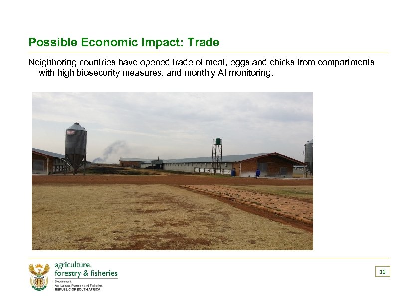 Possible Economic Impact: Trade Neighboring countries have opened trade of meat, eggs and chicks