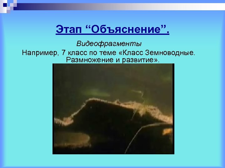 Этап “Объяснение”. Видеофрагменты Например, 7 класс по теме «Класс Земноводные. Размножение и развитие» .