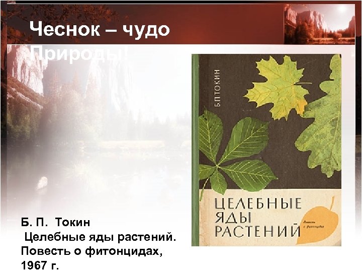 Чеснок – чудо Природы! Б. П. Токин Целебные яды растений. Повесть о фитонцидах, 1967