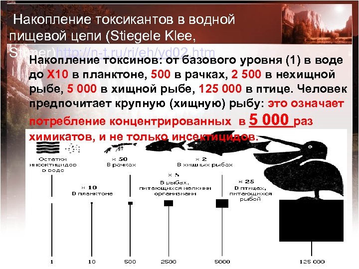  Накопление токсикантов в водной пищевой цепи (Stiegele Klee, Strmer)http: //n-t. ru/ri/eh/yd 02. htm