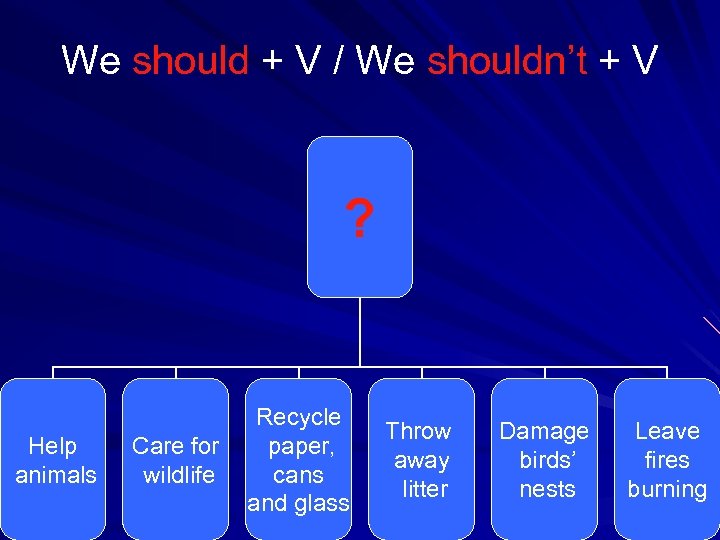We should + V / We shouldn’t + V ? Help animals Care for