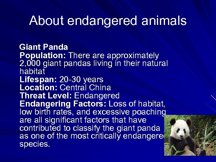 About endangered animals Giant Panda Population: There approximately 2, 000 giant pandas living in